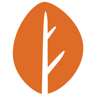 friendlygamelink.com favicon